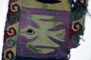 Cloth Colored with Cochineal Dye