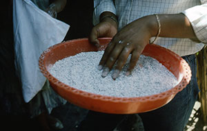 Making Cochineal